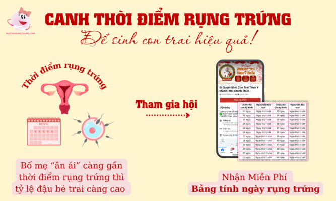 Canh thời điểm rụng trứng để sinh con trai