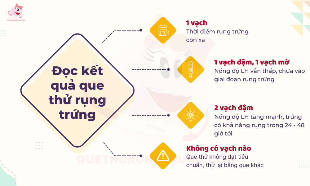 Cách đọc kết quả que thử rụng trứng